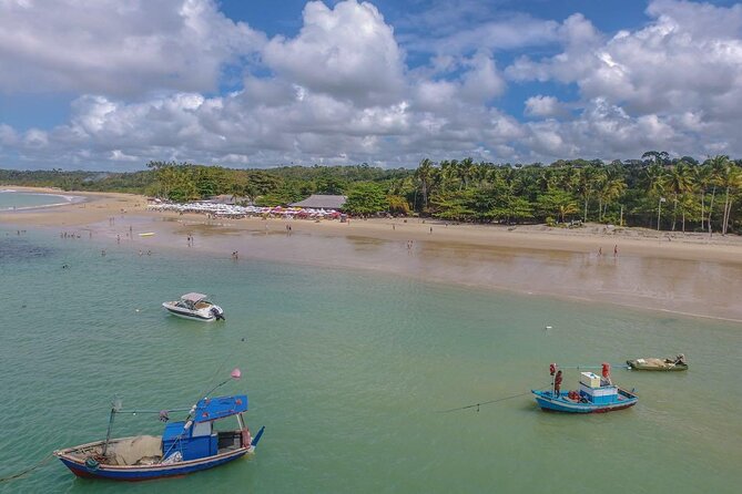 Full Day Tour in Trancoso with Chocolate Factory - Finos Di Porto Chocolate Factory: Tastings Without the Pressure