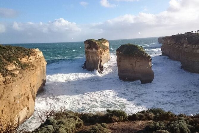 Great Ocean Road 12 Apostles kangaroo, koala and chocolate tour - Anglesea Golf Club kangaroos: the quick stop that can make your day