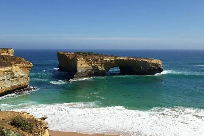 Great Ocean Road 12 Apostles kangaroo, koala and chocolate tour - Great Ocean Road koalas: spotting from the roadside without guarantees