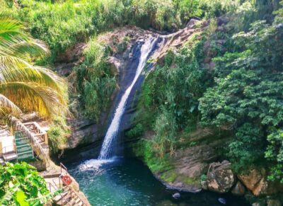 Grenada: Culture and Nature Island Tour with Chocolate & Rum - Grand Étang Rainforest: Where the Air Smells Like Grenada