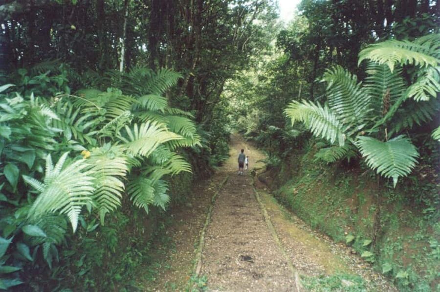 Grenada: Culture and Nature Island Tour with Chocolate & Rum - Rum Distillery Tasting: A Small Fee for a Proper Grenada Flavor