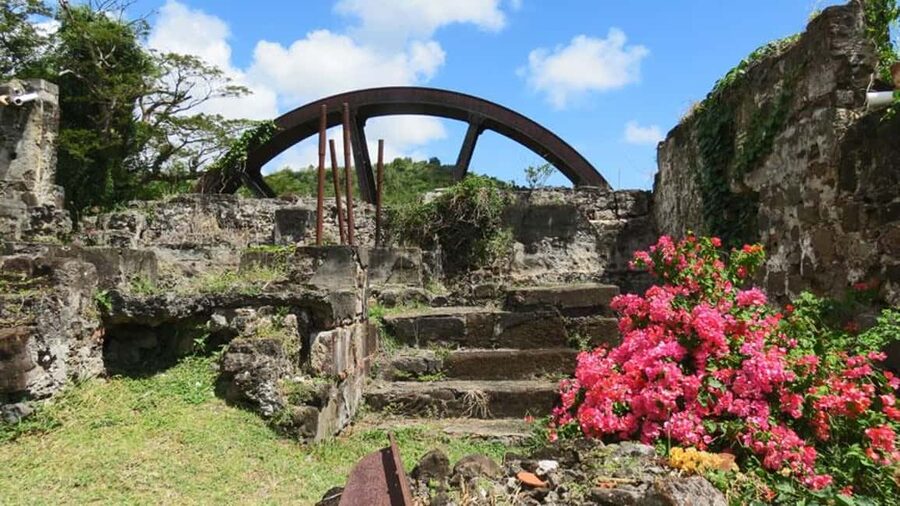 Grenada: Culture and Nature Island Tour with Chocolate & Rum - Should You Book This Grenada Culture and Nature Island Tour?
