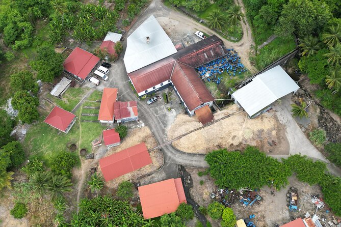 Grenada Day Tour-Concord Falls, Chocolate, Rum & Grand Etang Lake - Rum Stop: Taste Grenada’s Distilling Side
