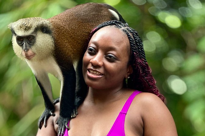 Grenada Day Tour-Concord Falls, Chocolate, Rum & Grand Etang Lake - A Value Check: What You Pay For (and What You Must Budget)