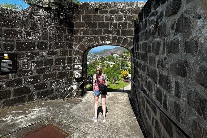 Grenada Half Day Tour: Fort, Spice, Falls, Chocolate & Lunch Stop - Concord Falls in St. John: Water Time and Realistic Expectations