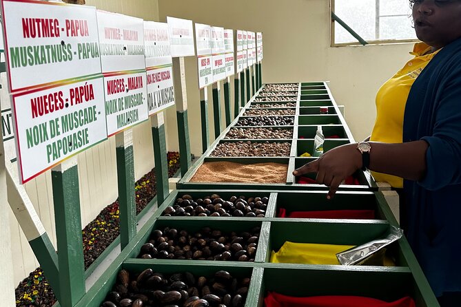 Grenada Half Day Tour: Fort, Spice, Falls, Chocolate & Lunch Stop - The Value Question: Is $160 a Good Deal?