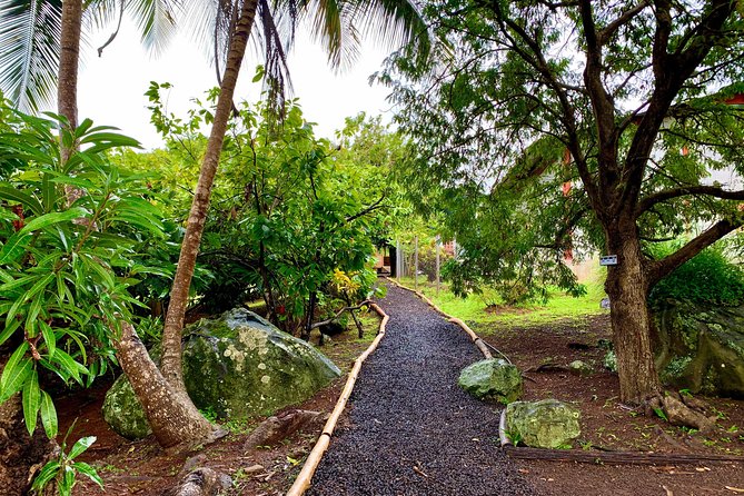 Grenada Herb & Spice Tour -Fort Frederick, Chocolate & Waterfalls - Stop 3: Tri-Island Chocolate Factory and Bean-to-Bar Tasting