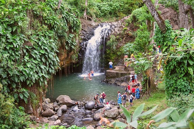 Grenada Spice Gardens, Rum & Chocolate Tour (Full/Half Day) - Key highlights you’ll actually feel during the day