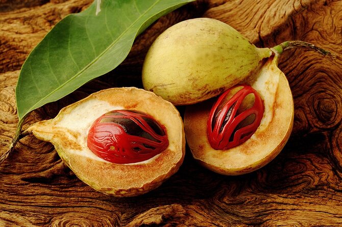 Grenada Spice Gardens, Rum & Chocolate Tour (Full/Half Day) - House of Chocolate Museum: sweetness with a story you can explain