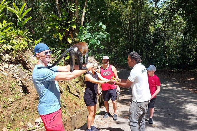 Grenada Spice with Rum and Cocoa Heritage Tour - Belmont Estate: A 17th-Century Working Plantation Visit (45 Minutes)
