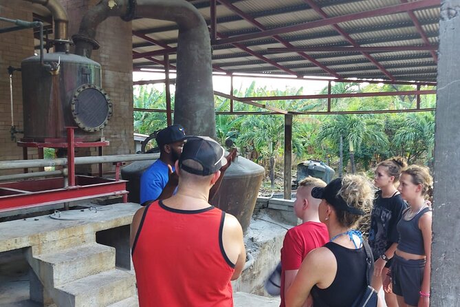 Grenada Spice with Rum and Cocoa Heritage Tour - Grand Etang Lake: A Crater Lake in Cool, Misty Mountains
