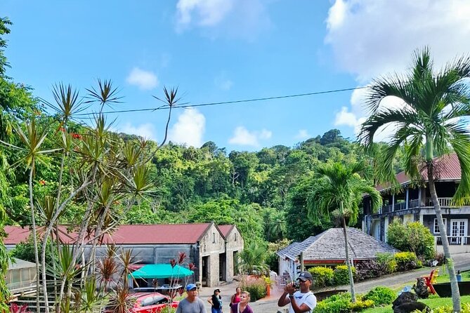 Grenada Spice with Rum and Cocoa Heritage Tour - Getting Started: Meeting Point and Your 9:00 AM Plan
