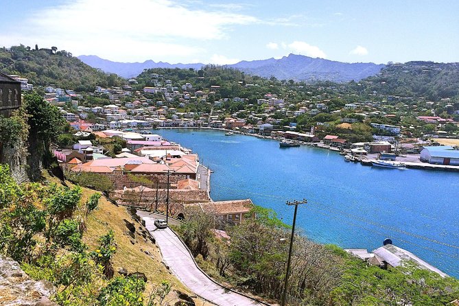 Grenada West Coast: Waterfalls, Chocolate & Rum Half-Day Tour - Annandale Falls: Photos First, Then Plan for the Entry Fee