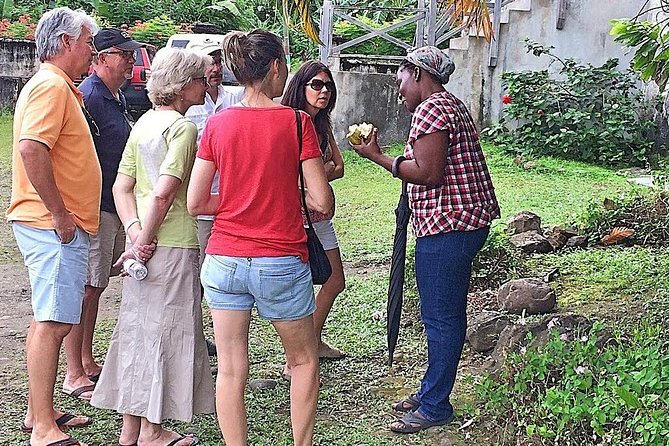 Grenada West Coast: Waterfalls, Chocolate & Rum Half-Day Tour - Victoria Nutmeg Museum: Free Learning Without the Hard Sell