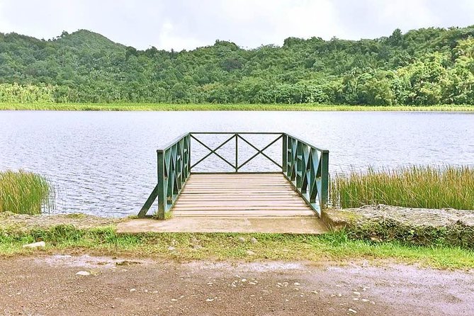 Grenada West Coast: Waterfalls, Chocolate & Rum Half-Day Tour - Grand Etang National Park and Mona Monkeys