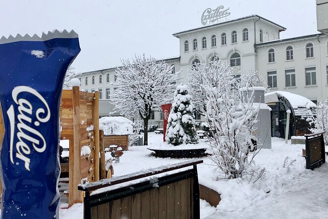 Gruyère Cheese and Chocolate Tasting Day Trip from Geneva - A well-built Geneva escape for cheese, chocolate, and castle views