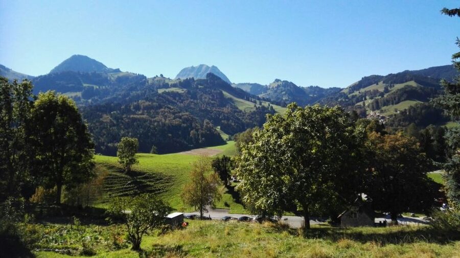 Gruyères, Cheese and Chocolate: Private Guided Tour - Price and Value: Is $511 Per Person Fair for This 9-Hour Private Day?