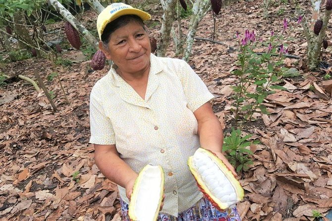 Guayaquil to Cuenca one-way tour with Cajas Park and a Cacao Farm visit - Timing, Pickup, and How the Day Usually Flows