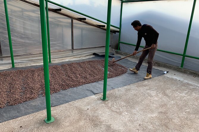 Guided tour of the Artisan Chocolate Factory in Tuscany - Price and logistics: does $100 make sense?