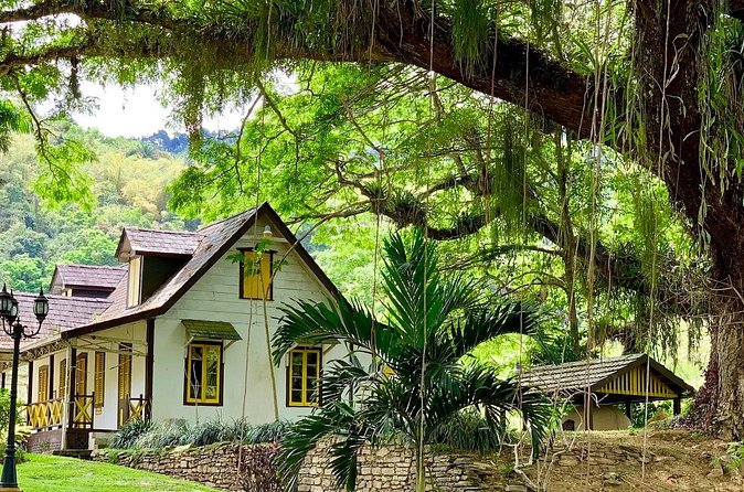 Half-day 3-Course Cocoa Lunch Tour in Trinidad - Price and Value: Why $134 Can Make Sense Here