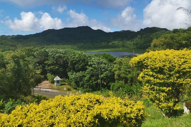 Half-Day Concord Waterfall and Chocolate Factory Tour - Jouvay Chocolate in Gouyave: From Cocoa Fields to a Tasting
