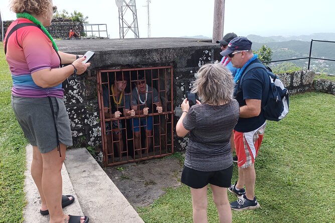 Half-Day Hawaiian Leis Chocolate Waterfalls Beach Tour - Annandale Waterfall & Forest Park: a short swim with local music energy