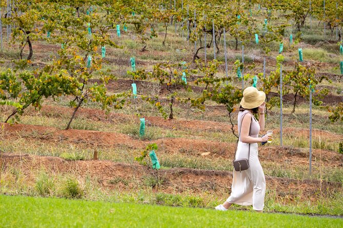 Hunter Valley All Inclusive, Wine, Chocolate Tasting and Lunch - Lunch, snacks, and tastings: how the inclusions affect your real budget