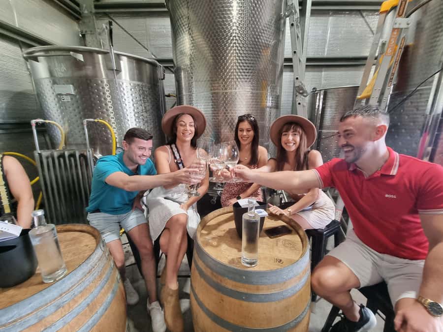 Hunter Valley: Wine, Gin, Cheese and Chocolate Tour - Winery Stop 2: Wine and Cheese Pairing That Makes Flavor Click