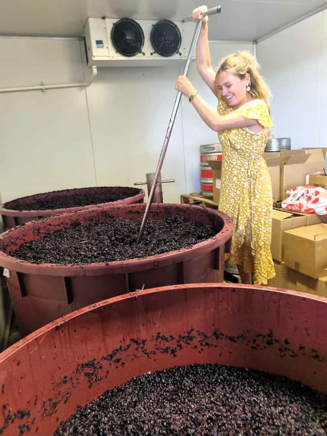 Hunter Valley: Wine, Gin, Cheese and Chocolate Tour - Guides Matter: Why This Tour’s Personality Gets Mentioned