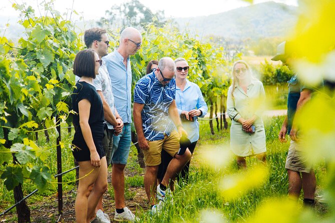 Hunter Valley Wine Tour ex Hunter Valley - Lunch, Cheese, Chocolate, Distillery - Price check: what you get for $192.94 per person