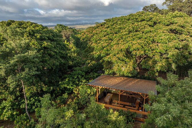 Kamananui Cacao Orchard Tour - Booking advice: how far ahead to plan
