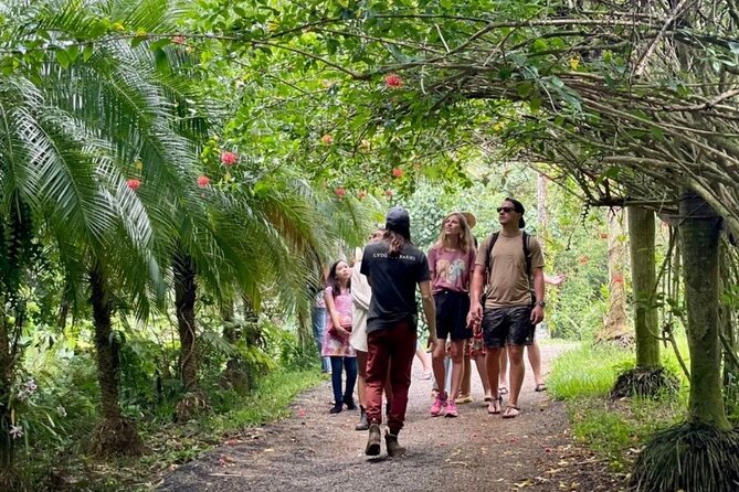 Kauai Chocolate Farm Tasting Tour - The 3-hour flow: gardens first, cacao learning second