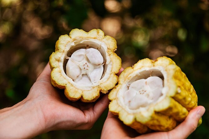 Kauai Chocolate Farm Tasting Tour - Botanical garden sampling: honey, vanilla beans, and tropical fruit
