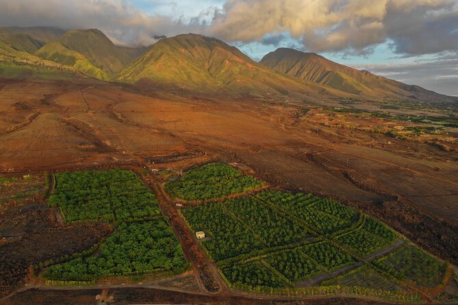 Lahaina: Maui Ku'ia Estate Guided Cacao Farm Tour and Tasting - Small-Group Size and Transport: When “Personal” Meets Reality