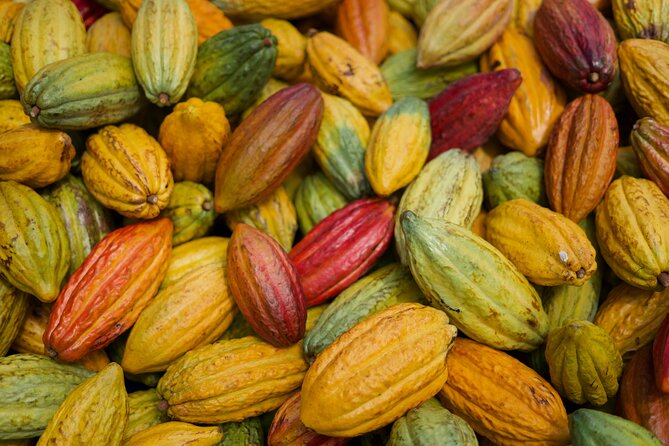 Lahaina: Maui Ku'ia Estate Guided Cacao Farm Tour and Tasting - Practical Tips That Make the Hour-and-a-Half Go Smooth