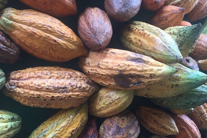 Make your own Bean to Bar Chocolate Factory Tour - Price and value: is $75 worth 90 minutes?
