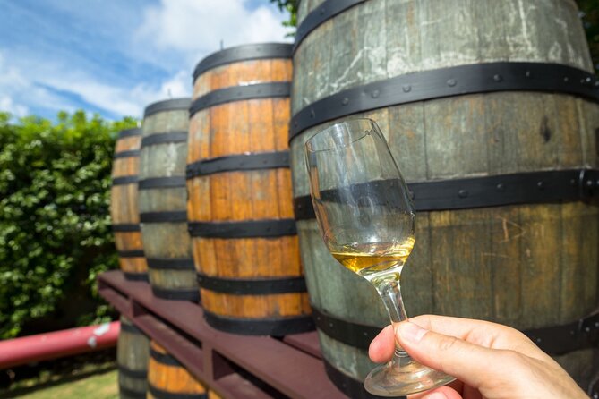 Margaret River’s Wine & Chocolate Odyssey: Private Tour - 9:00 am Start in Margaret River: A Day That Moves Without Feeling Busy