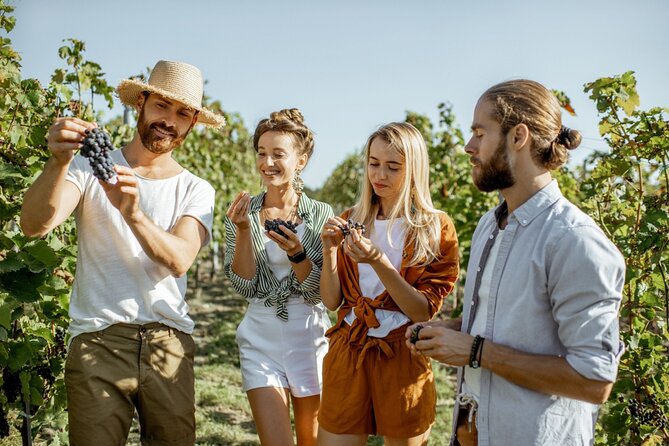Margaret River’s Wine & Chocolate Odyssey: Private Tour - Wild Hop Brewing Company: Craft Beer Time at the End of the Day