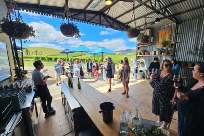 Melbourne: Yarra Valley Wine, Gin, Whisky and Chocolate Tour - The 60-minute Yarra Valley drive: countryside time and music requests