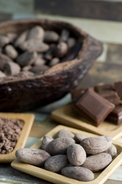 Mérida: Uxmal, Cenote and Chocolate Museum Choco-Story - FAQ