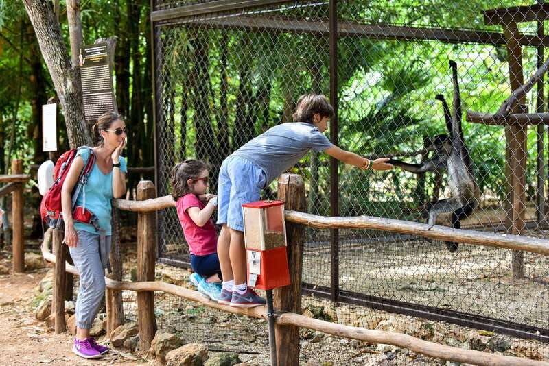Mérida: Uxmal, Cenote and Chocolate Museum Choco-Story - What to bring (and what can ruin your day)