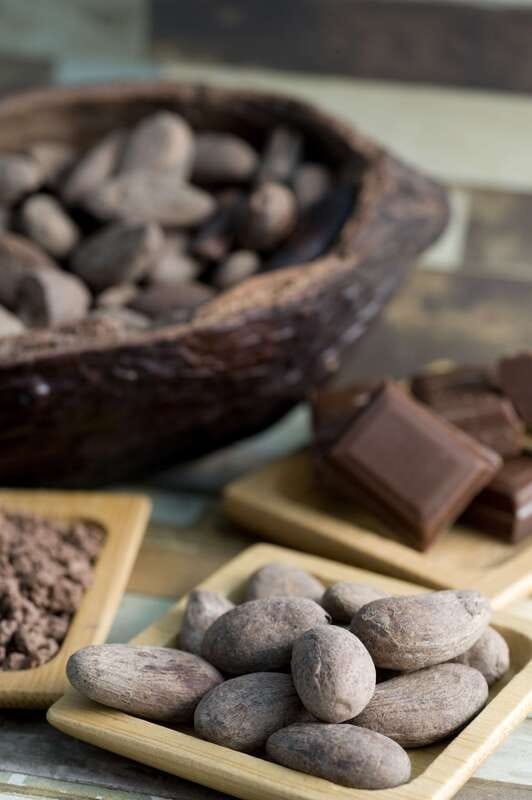 Mérida: Uxmal, Cenote and Chocolate Museum Choco-Story - The Chocolate Museum Stop: Choco-Story’s Mayan cocoa angle