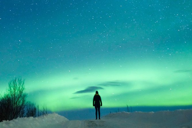 Northern Lights Bus Tour from Reykjavik with Hot Chocolate - What to Wear for Northern Lights Bus Nights