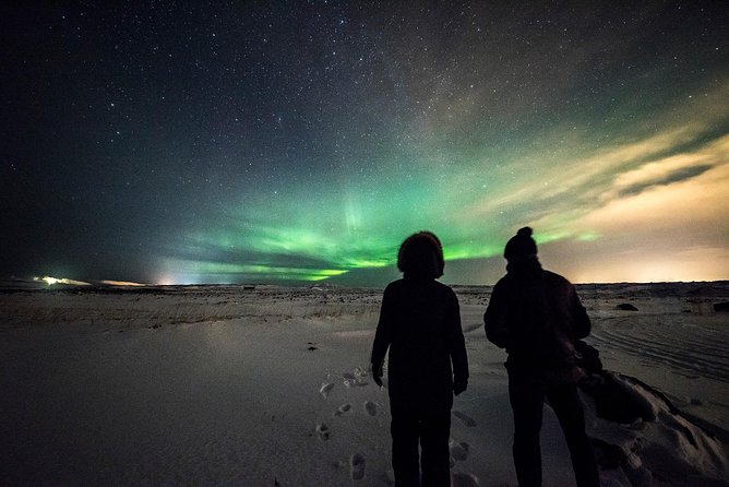Northern Lights Bus Tour from Reykjavik with Hot Chocolate - Price and Value: Why $76 Can Make Sense (Even on No-Light Nights)