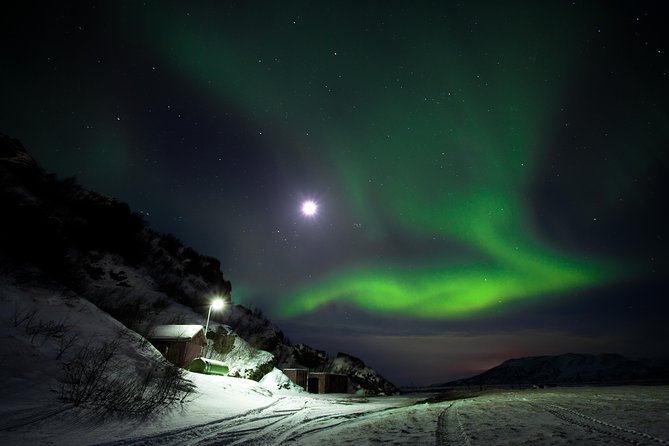 Northern Lights Minibus Tour with Hot Cocoa, Blankets & Photos - How This Minibus Tour Runs From Reykjavik to the Dark Countryside