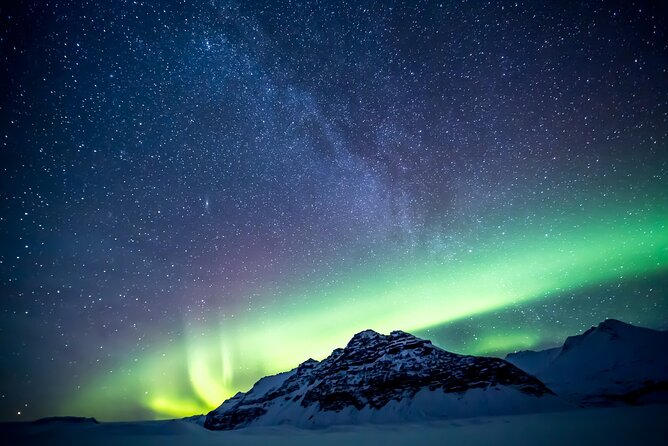 Northern Lights Small-Group Tour with Free Photos & Hot Chocolate - Price and value: why $118.27 can make sense in Iceland
