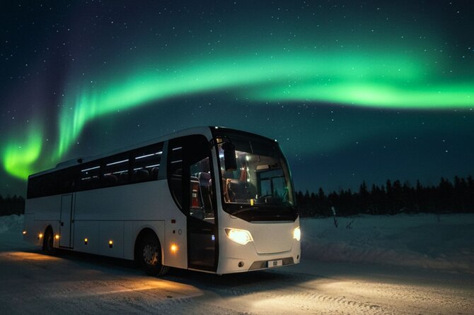 Northern Lights Tour: Cozy Night Adventure with Hot Chocolate - Price and Value: Is $81.80 Fair for a Night Hunt?