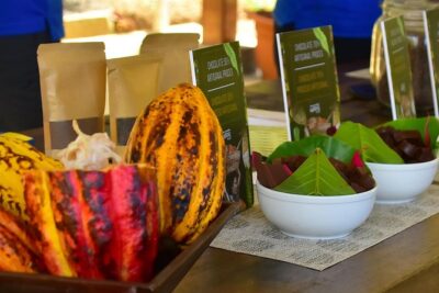 Ocean View Canopy Zip line + Chocolate Experience - The Tractor Ride Up and 10 Cables Down: Your Zip-Line Walkthrough