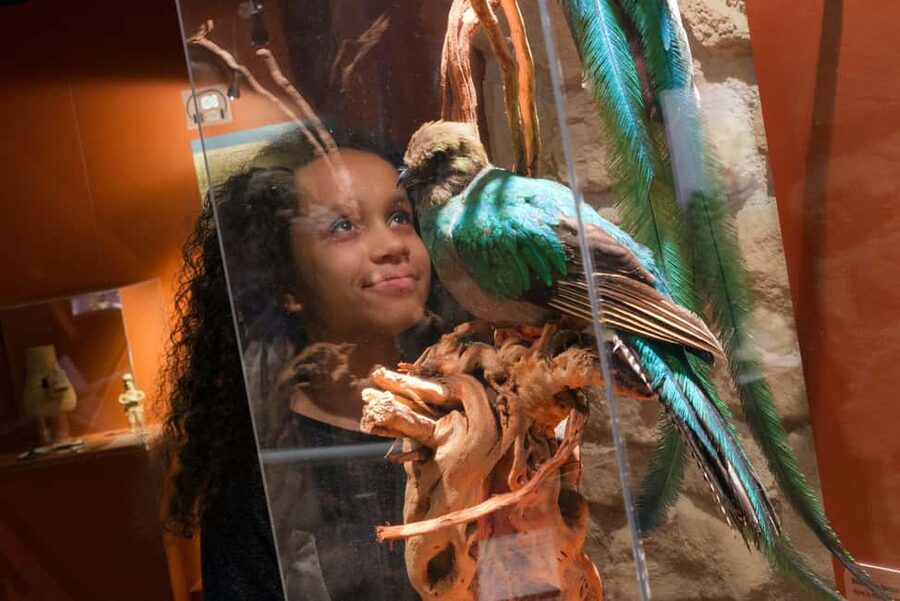 Paris: Entrance Ticket to the Chocolate Museum - The Real Show: 4,000 Years of Cocoa History (Not Just Chocolate Myths)