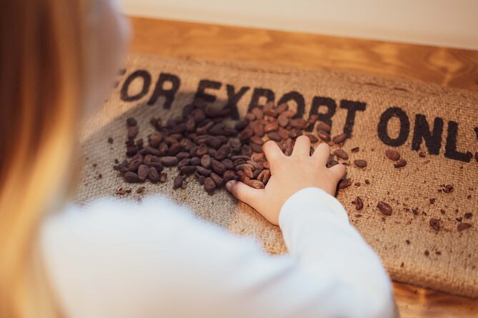 Porto: Chocolate Museum - Chocolate’s Delicious Journey + Tasting - The Chocolate Experience by 20|20: how the visit flows
